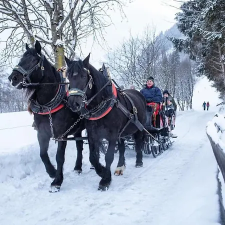 アパート Eva Maria 2